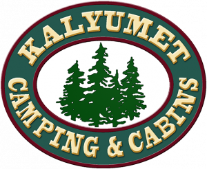 kalyumet – A WordPress Site Logo