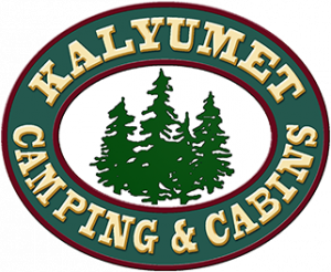 kalyumet – A WordPress Site Logo