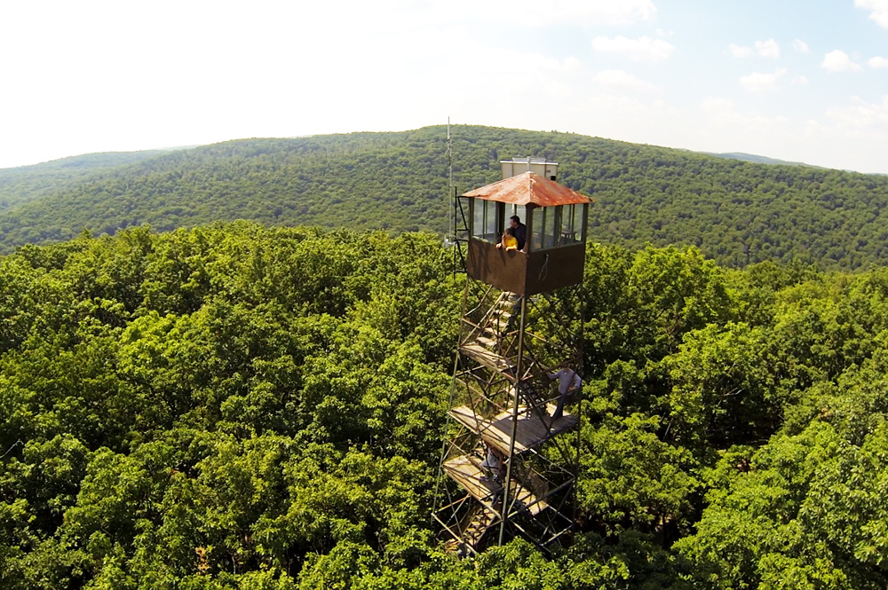 Fire Tower