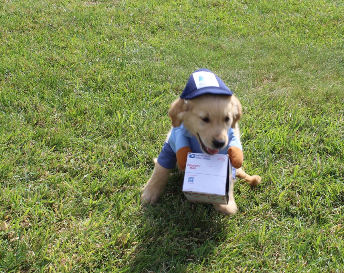 Kids Dressed Up For Trick or Treat