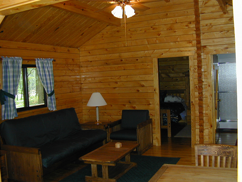 Living Room In Cabin